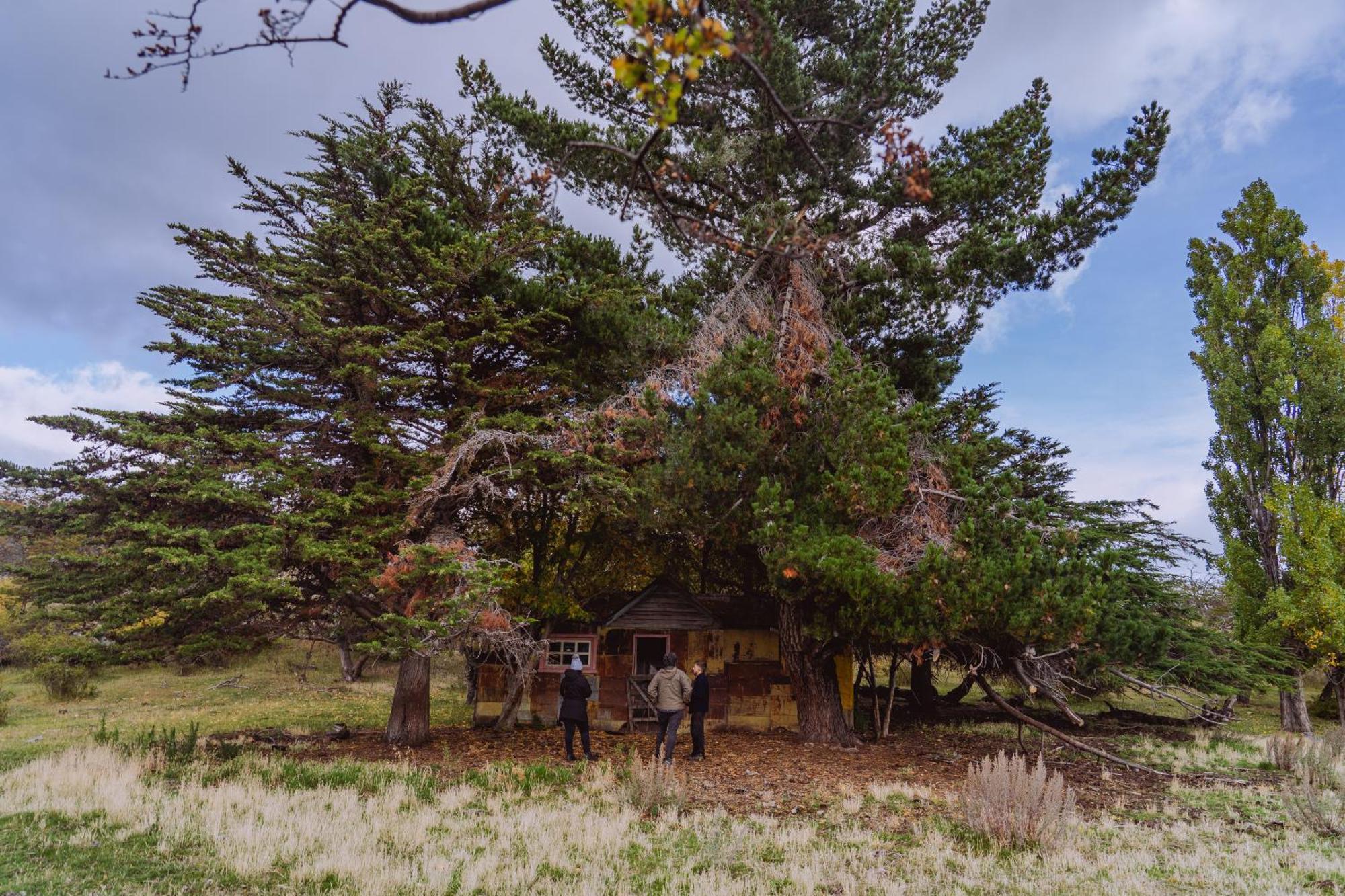 Estancia Patagonia El Calafate - Pristine Luxury Camps Exterior photo